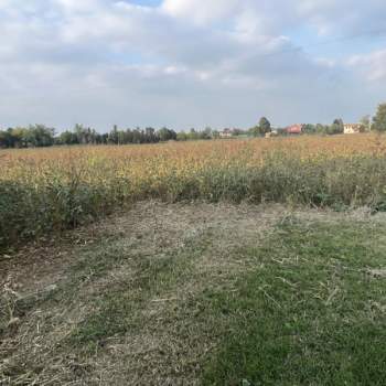 Terreno in vendita a Cervarese Santa Croce (Padova)