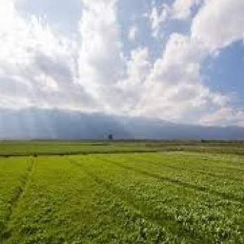 Terreno in vendita a Arzergrande (Padova)