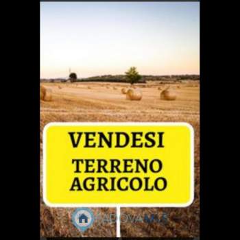 Terreno in vendita a Solesino (Padova)