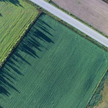 Terreno in vendita a Borgo Veneto (Padova)