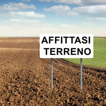 Terreno in affitto a Este (Padova)