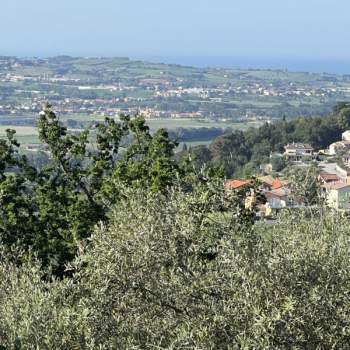 Casa singola in vendita a Trecastelli (Ancona)