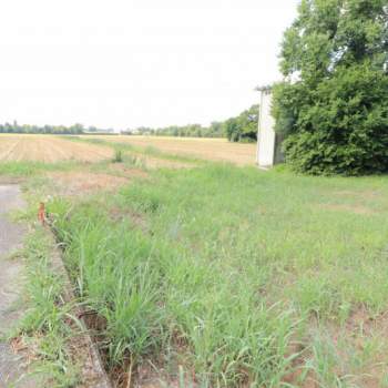 Terreno in vendita a Casier (Treviso)