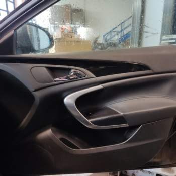 Pannello porta ant dx OPEL INSIGNIA  del 2009