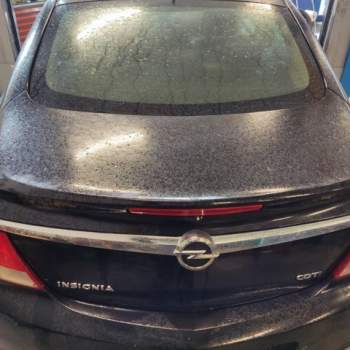 Portellone nudo OPEL INSIGNIA  del 2009