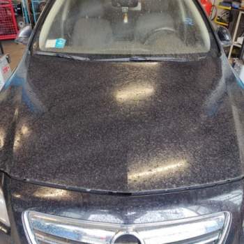 Cofano OPEL INSIGNIA  del 2009