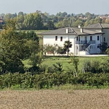 Appartamento in vendita a Pramaggiore (Venezia)