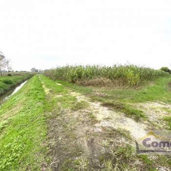 Terreno in vendita a Saccolongo (Padova)