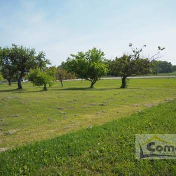 Terreno in vendita a Taglio di Po (Rovigo)