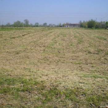 Terreno in vendita a Campodarsego (Padova)