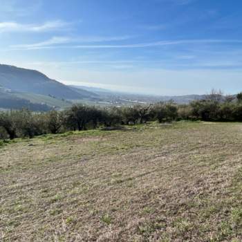 Terreno in vendita a Tregnago (Verona)