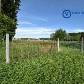 Terreno in vendita a Badia Polesine (Rovigo)