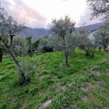 Terreno in vendita a Vado Ligure (Savona)