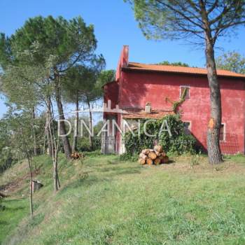 Rustico in vendita a Peccioli (Pisa)