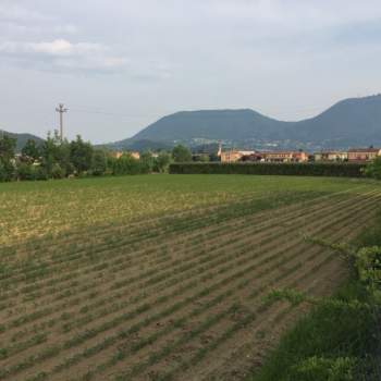 Terreno in vendita a Rovolon (Padova)