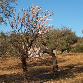 Terreno in vendita a Modugno (Bari)