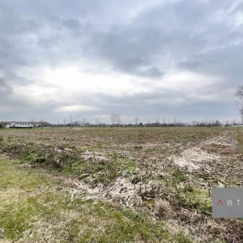 Terreno in vendita a Santa Giustina in Colle (Padova)