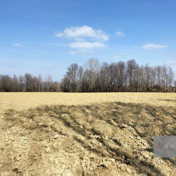 Terreno in vendita a Camposampiero (Padova)