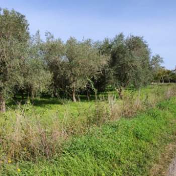 Terreno in vendita a Serre (Salerno)