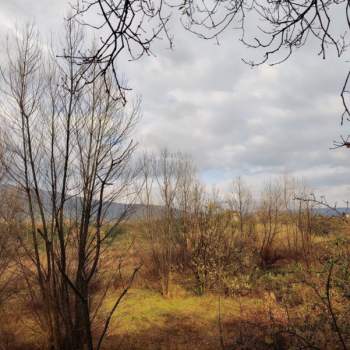 Terreno in vendita a Campagna (Salerno)