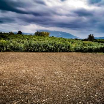 Terreno in vendita a Eboli (Salerno)