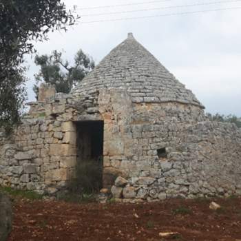 Rustico in vendita a Ostuni (Brindisi)