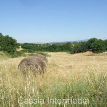 Rustico in vendita a Nepi (Viterbo)