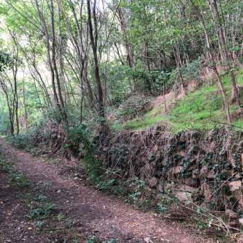 Terreno in vendita a Galzignano Terme (Padova)