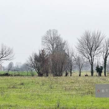 Terreno in vendita a San Giorgio delle Pertiche (Padova)