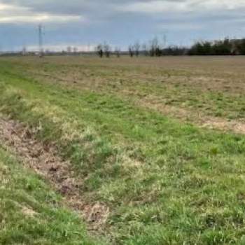 Terreno in vendita a Casale sul Sile (Treviso)