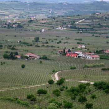 Terreno in vendita a Soave (Verona)