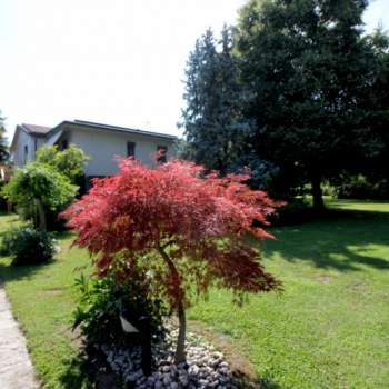 Casa singola in vendita a Grisignano di Zocco (Vicenza)