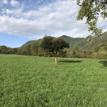 Terreno in vendita a Valdagno (Vicenza)