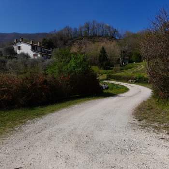 Rustico in vendita a Torreglia (Padova)