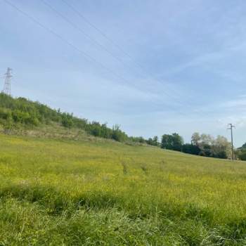 Terreno in vendita a Pianoro (Bologna)