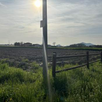 Terreno in vendita a San Pietro Viminario (Padova)