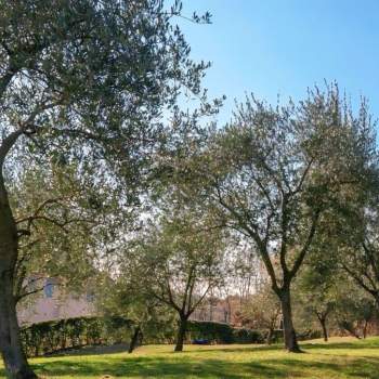 Terreno in vendita a Crocetta del Montello (Treviso)