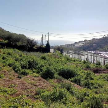 Terreno in vendita a Sanremo (Imperia)