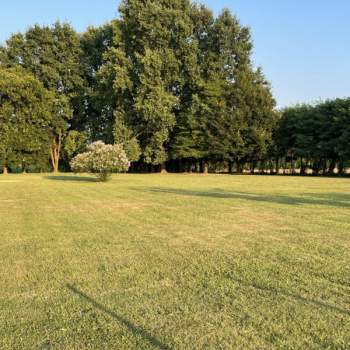 Terreno in vendita a Saccolongo (Padova)