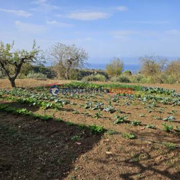 Terreno in vendita a Reggio di Calabria (Reggio Calabria)