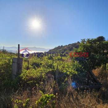 Terreno in vendita a Reggio di Calabria (Reggio Calabria)