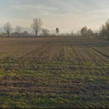 Terreno in vendita a Cervarese Santa Croce (Padova)