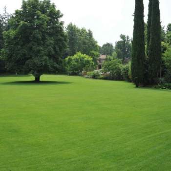 Terreno in vendita a Lendinara (Rovigo)