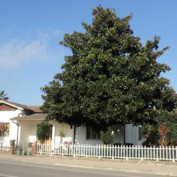 Casa singola in vendita a Ostellato (Ferrara)