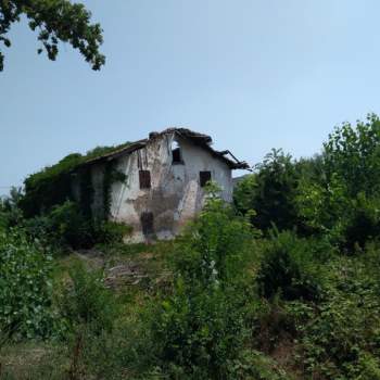 Terreno in vendita a Carpi (Modena)