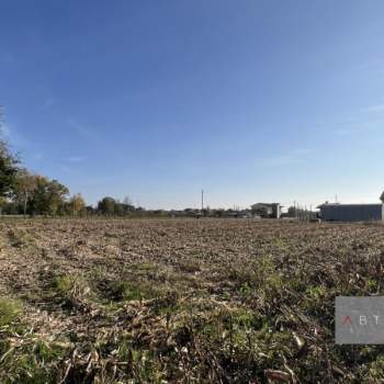 Terreno in vendita a Camposampiero (Padova)