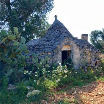 Rustico in vendita a Ceglie Messapica (Brindisi)