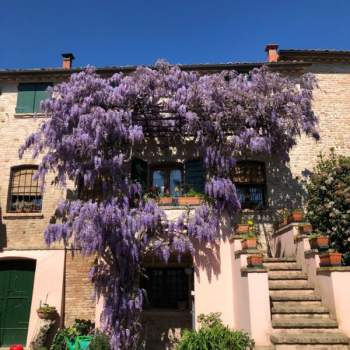 Villa in vendita a Longiano (Forlì-Cesena)