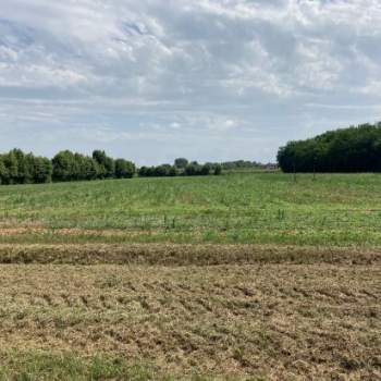 Terreno in vendita a Stra (Venezia)