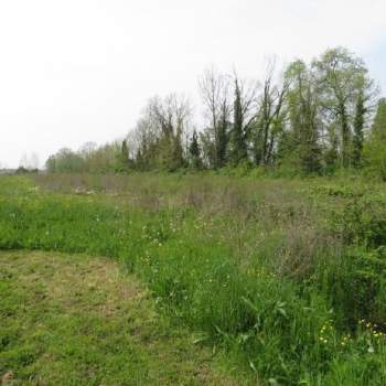 Terreno in vendita a Santa Maria di Sala (Venezia)